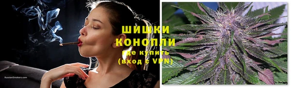 шишки Балахна