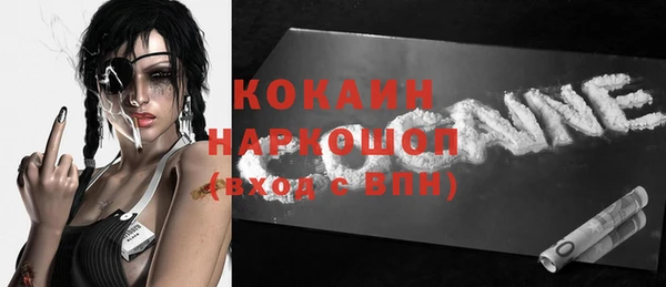 шишки Балахна