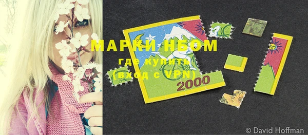 шишки Балахна