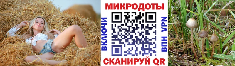 Галлюциногенные грибы GOLDEN TEACHER ОМГ ОМГ ССЫЛКА Берёзовский где найти